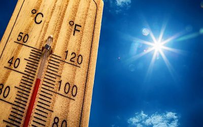 🥵 How to Stay Fit and Active During a Heatwave